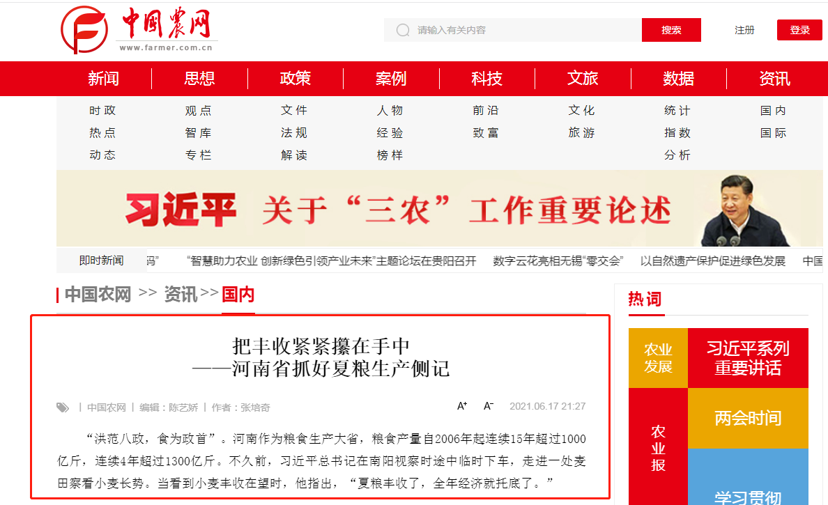把豐收緊緊攥在手中 河南省抓好夏糧生產綜述