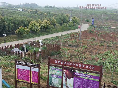 歐柯奇害蟲遠程監測系統守護成都果木基地種植安全