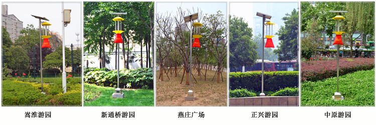 現場實拍：公園殺蟲燈安裝效果