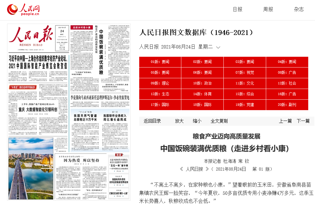 中國飯碗裝滿優質糧 糧食產業邁向高質量發展