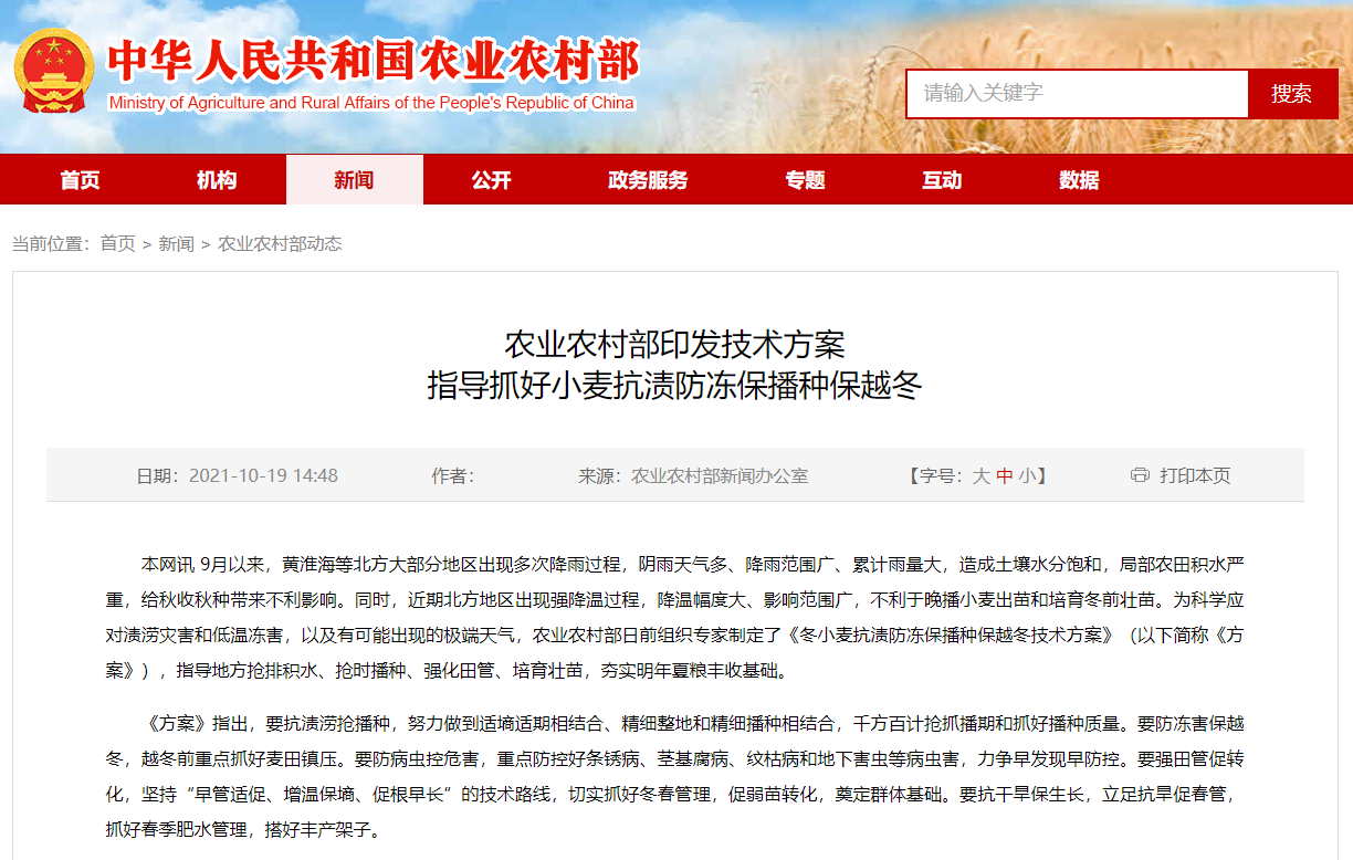 農業農村部印發技術方案 指導抓好小麥抗漬防凍保播種保越冬