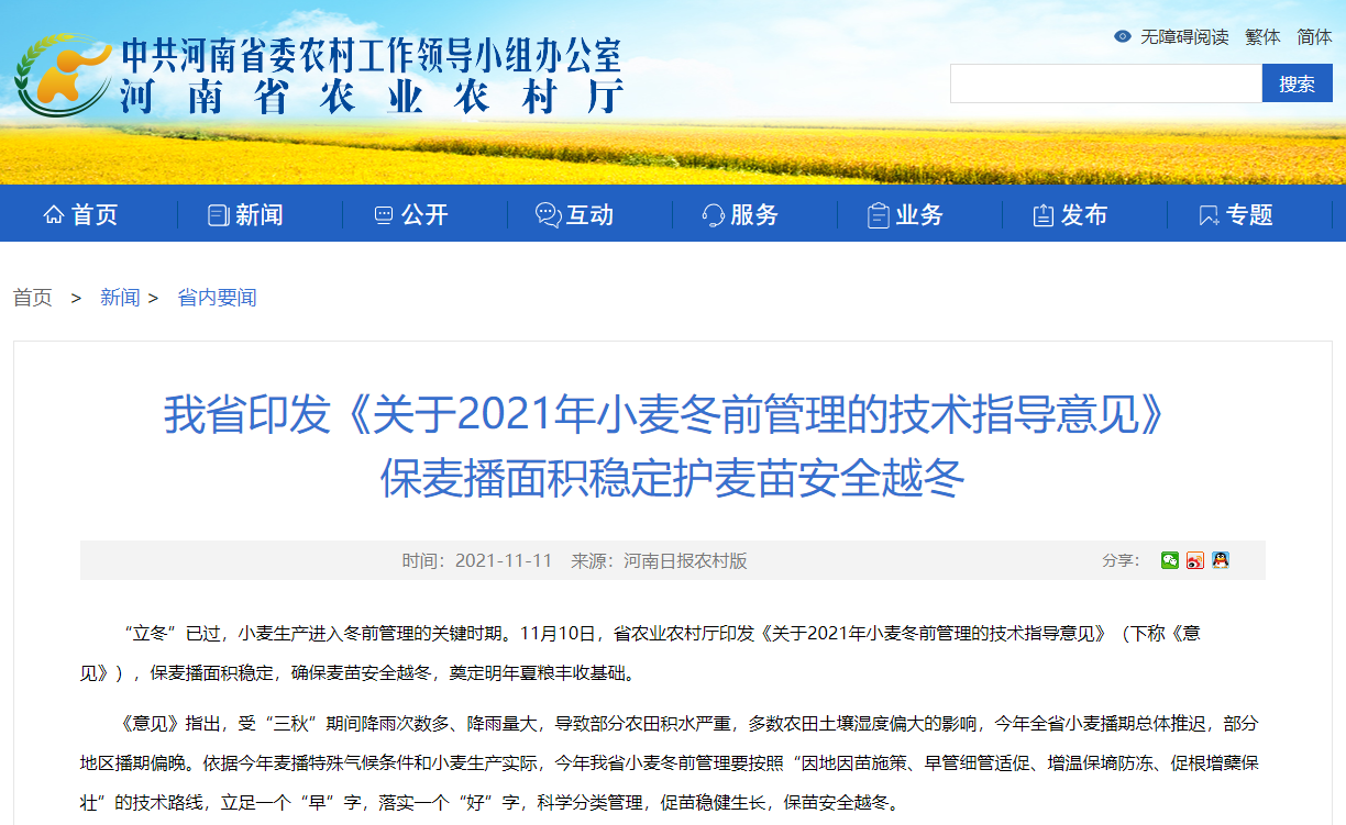 河南省印發《關于2021年小麥冬前管理的技術指導意見》 保麥播面積穩定護麥苗