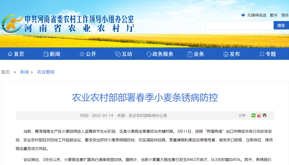 農業農村部部署春季小麥條銹病防控