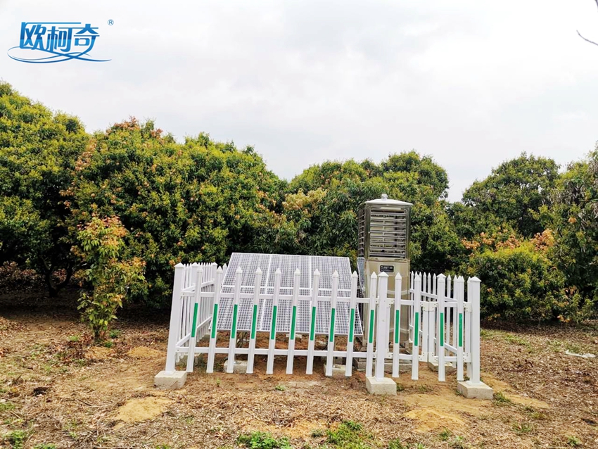  建標準基地，育富民產業：歐柯奇蟲情測報燈走進廣東荔枝生產基地