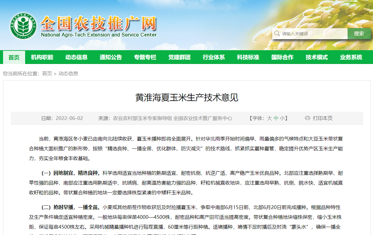黃淮海夏玉米生產技術意見