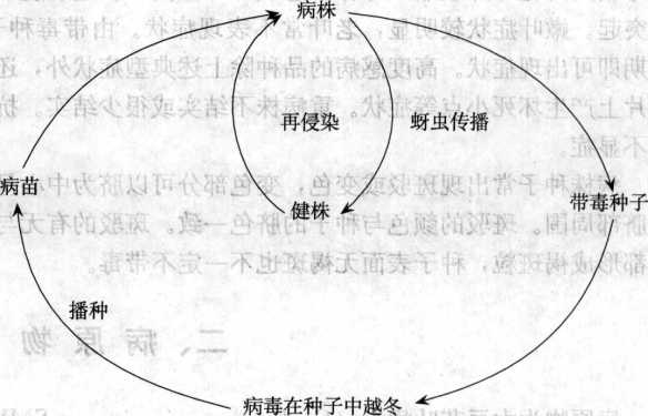 大豆花葉病的病害循環