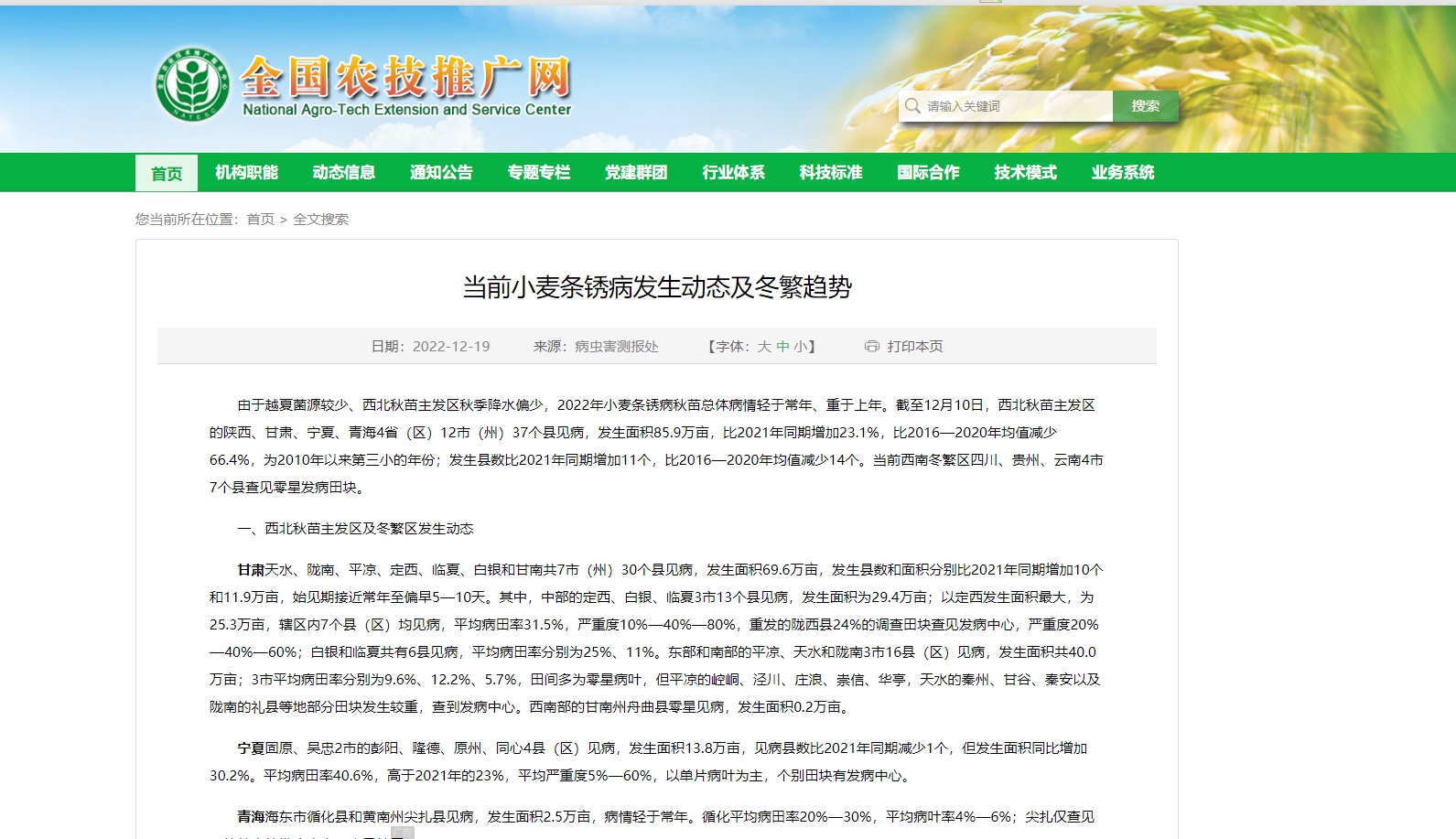 當前小麥條銹病發生動態及冬繁趨勢