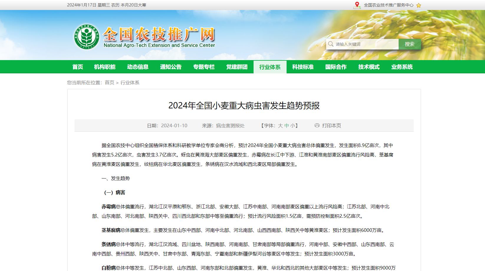 2024年全國小麥重大病蟲害發生趨勢預報