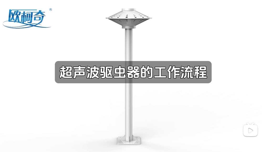 超聲波驅蟲器的工作流程