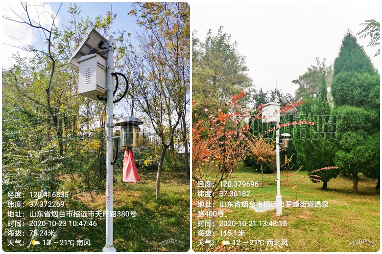 光影魔術手拼圖.jpg