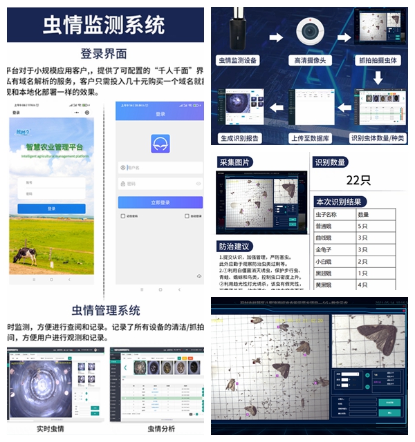 光影魔術手拼圖.jpg