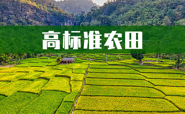 高標準農田.png