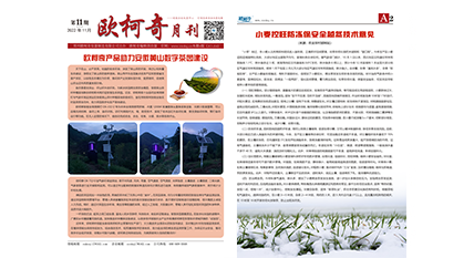 2022年第十一期《歐柯奇月刊》發行