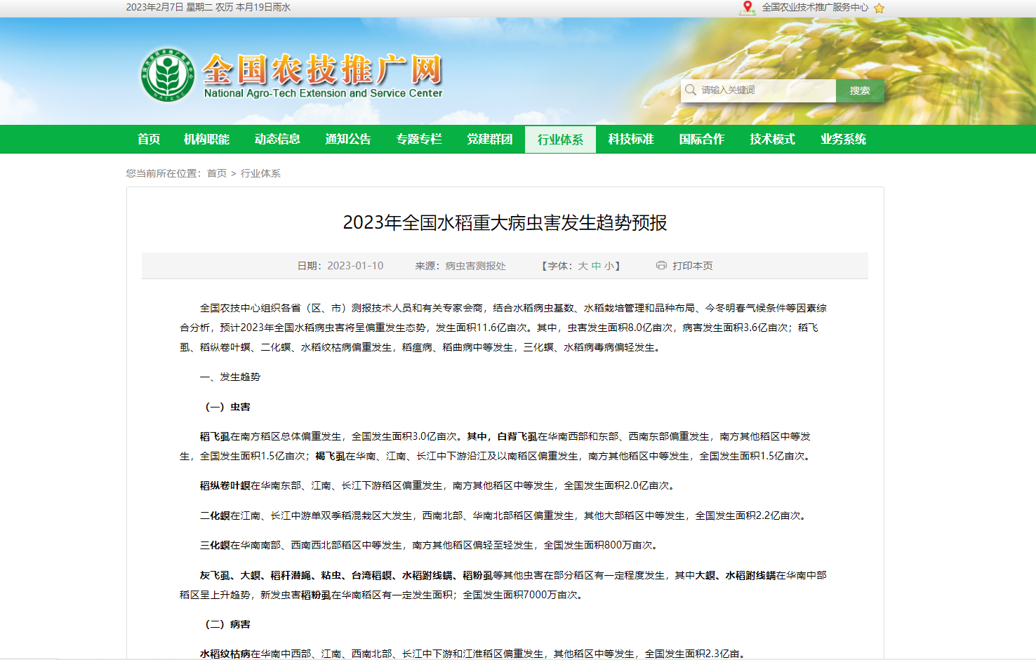2023年全國水稻重大病蟲害發生趨勢預報