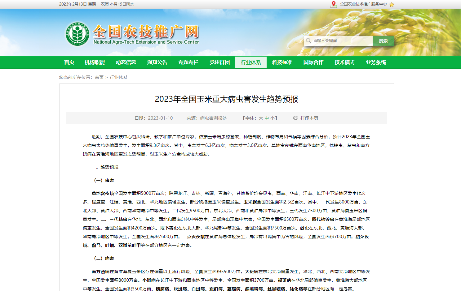 2023年全國玉米重大病蟲害發生趨勢預報