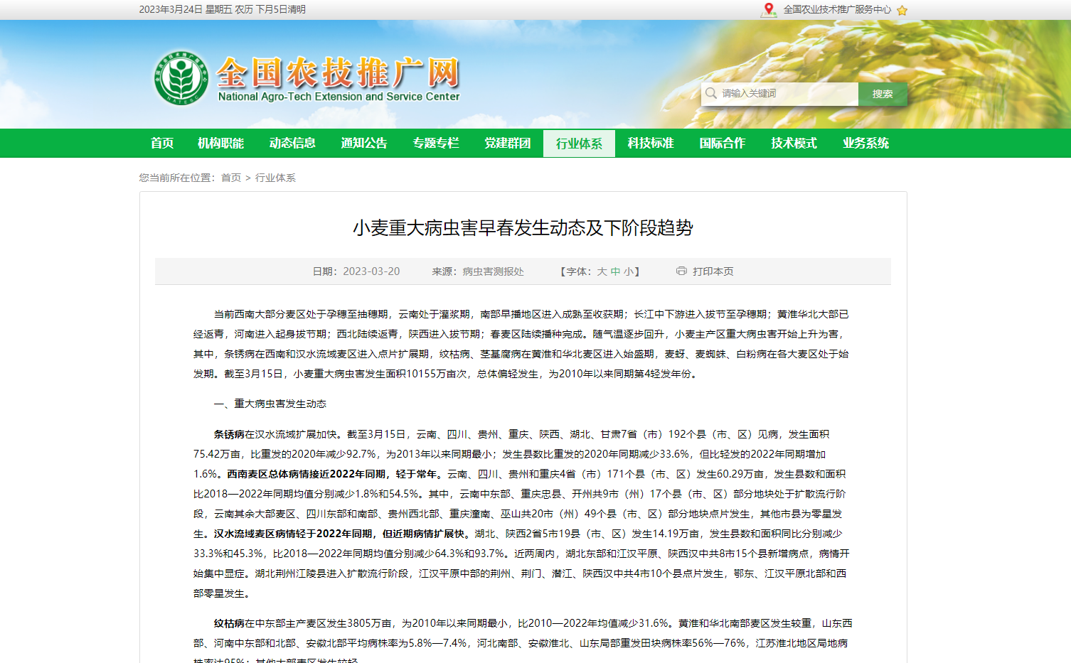 小麥重大病蟲害早春發生動態及下階段趨勢