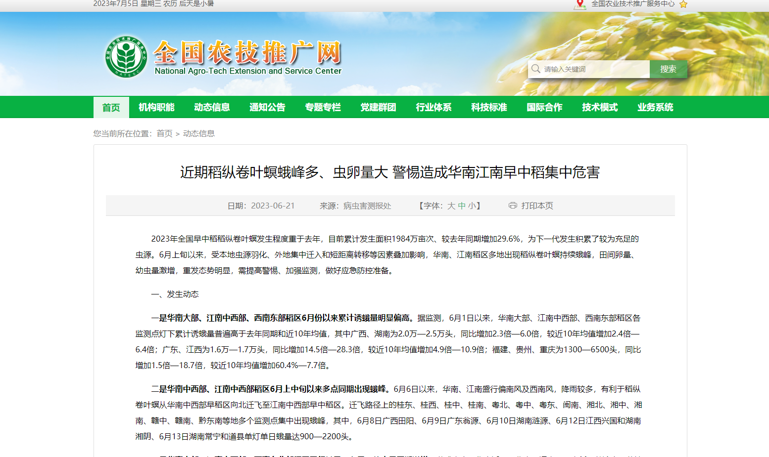 近期稻縱卷葉螟蛾峰多、蟲卵量大 警惕造成華南江南早中稻集中危害