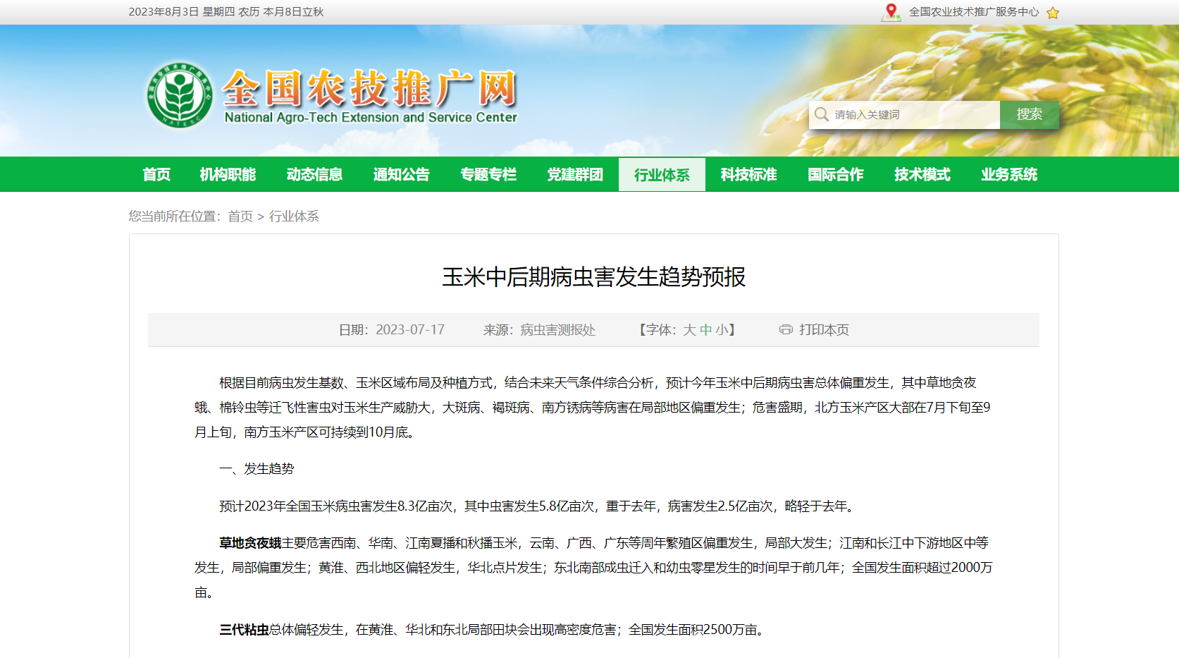 玉米中后期病蟲害發生趨勢預報