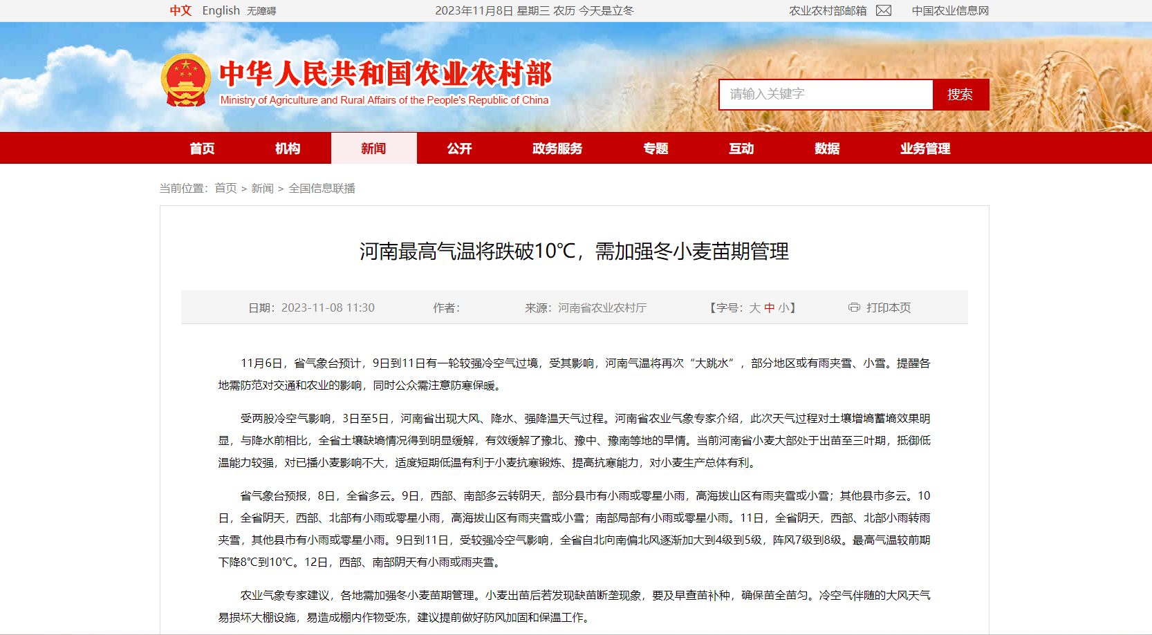 河南最高氣溫將跌破10℃，需加強冬小麥苗期管理