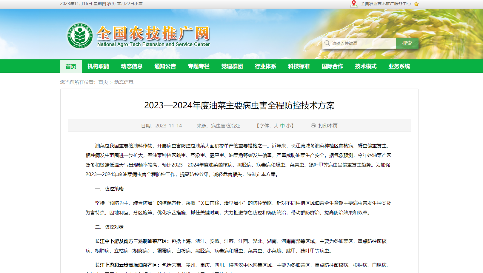 2023—2024年度油菜主要病蟲害全程防控技術方案