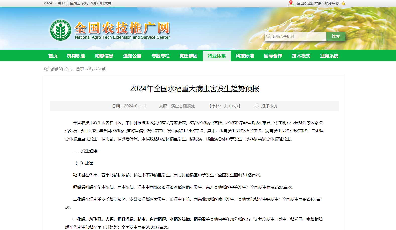 2024年全國水稻重大病蟲害發生趨勢預報