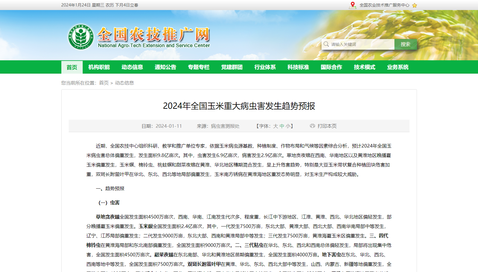 2024年全國玉米重大病蟲害發生趨勢預報