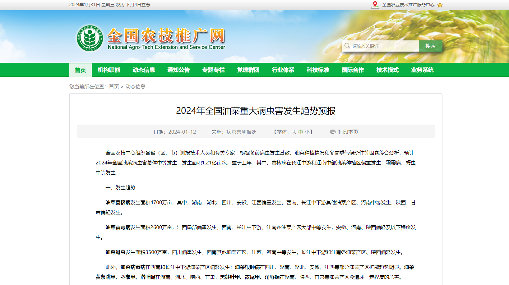 2024年全國油菜重大病蟲害發生趨勢預報