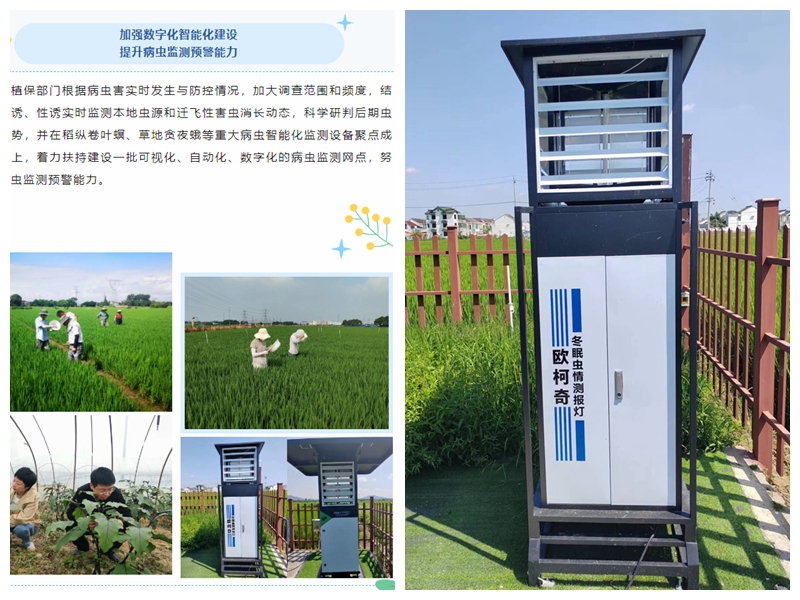 “蟲口奪糧”保豐收，歐柯奇設備助力無錫植保工作