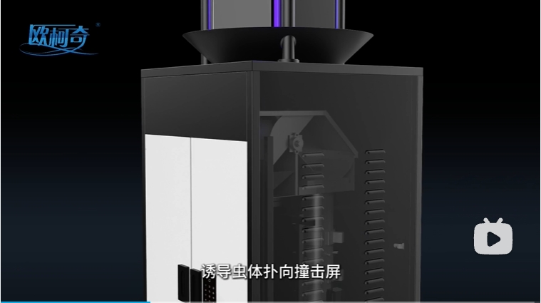 自動蟲情測報燈工作流程