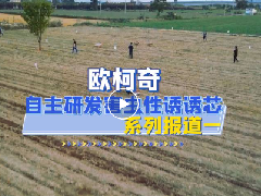 歐柯奇自主研發害蟲性誘誘芯|系列報道一