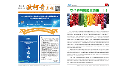 2024年第十一期《歐柯奇月刊》發行