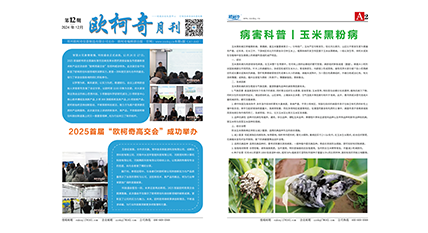 2024年第十二期《歐柯奇月刊》發行